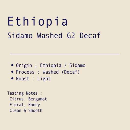 Sidamo Washed G2 Decaf / Ethiopia