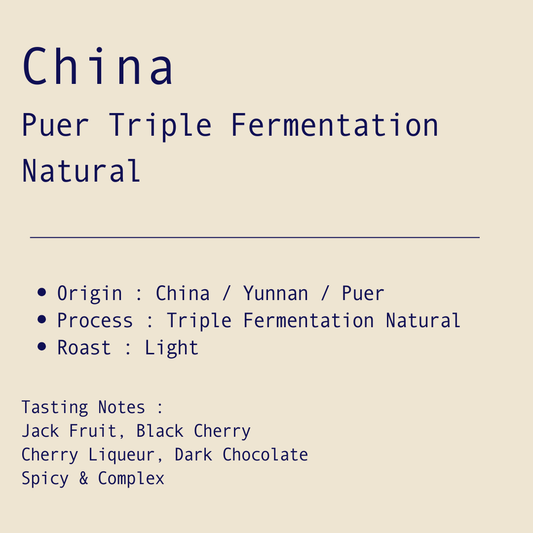 Puer Triple Fermentation Natural / China