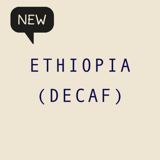 Sidamo Washed G2 Decaf / Ethiopia