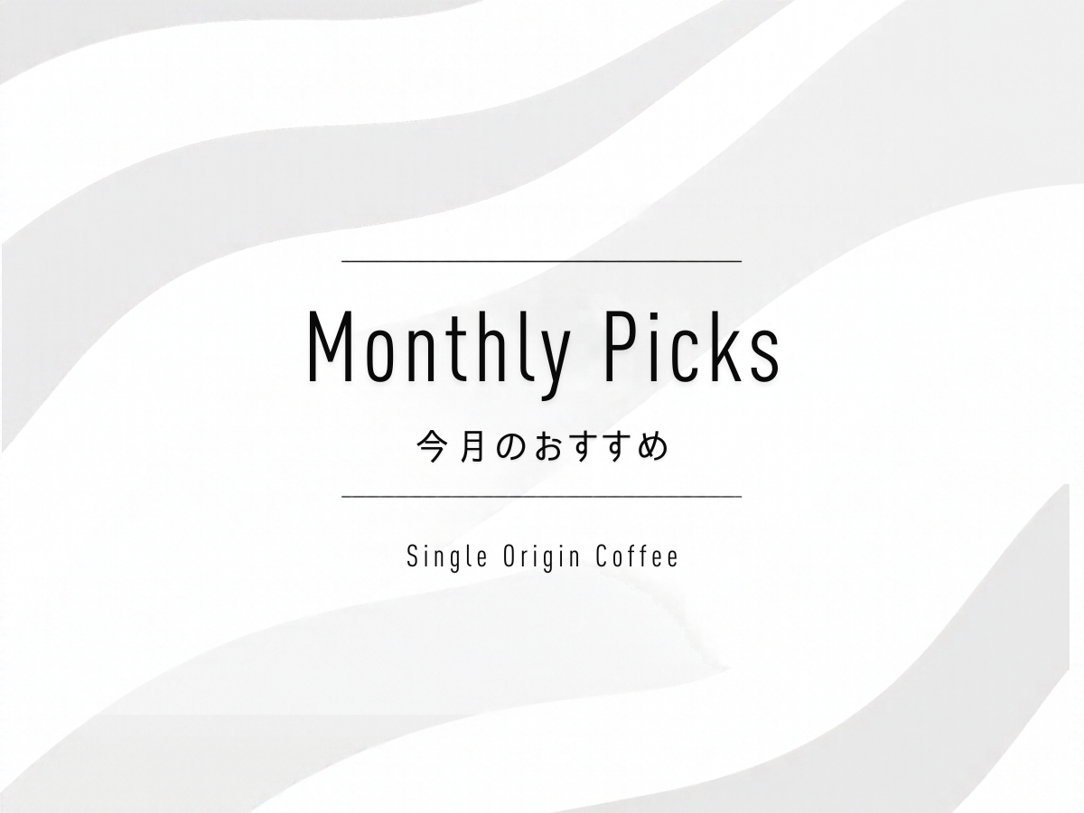 Monthly Picks（今月のおすすめ）