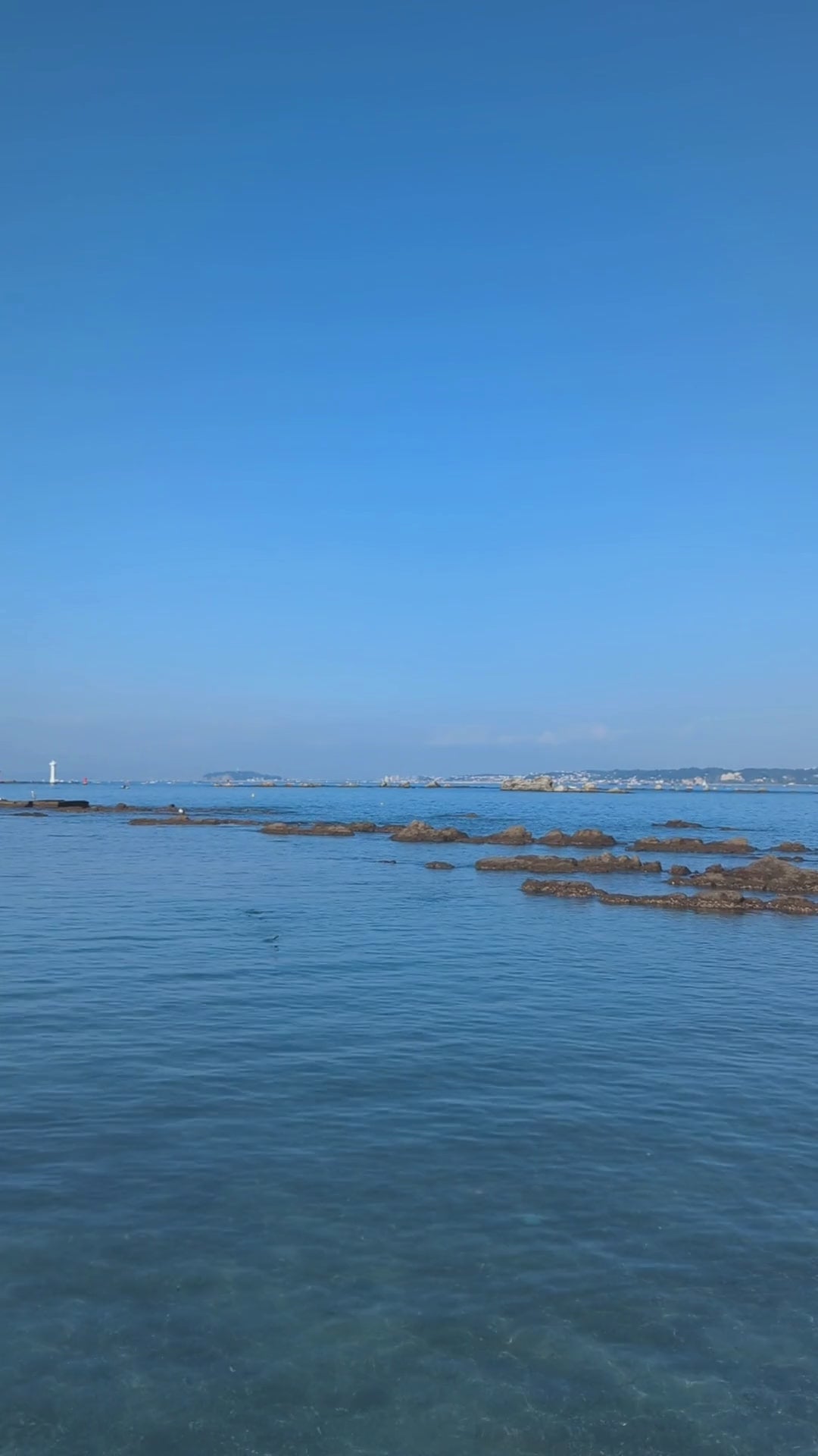 動画を読み込む: 